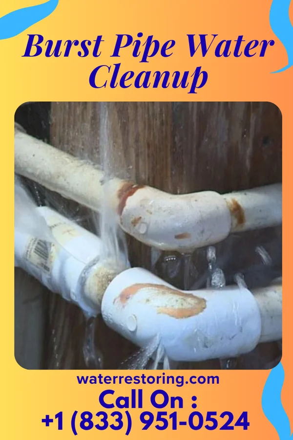 Burst Pipe Water Cleanup in Fort Pierce, FL