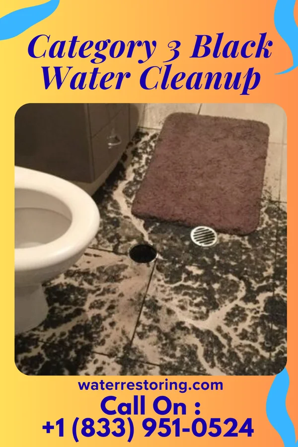 Category 3 Black Water Cleanup in Fort Pierce, FL