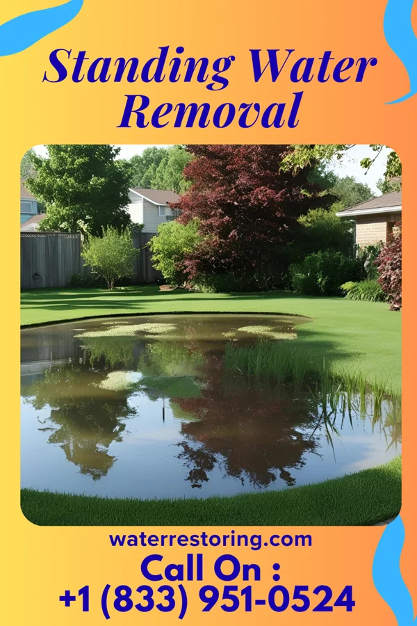 Standing Water Removal in Fort Pierce, FL